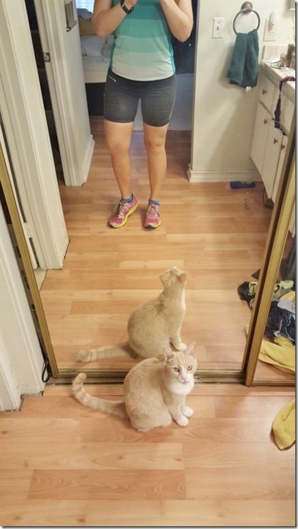 cat and running selfie (450x800)