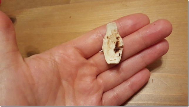 eating the chocolate off a candy (800x450)
