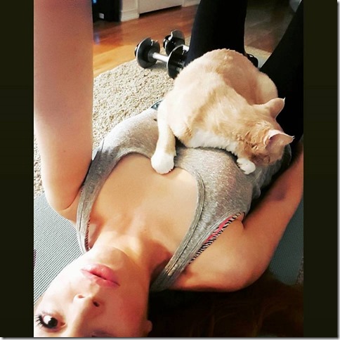 i cant workout because my cat wont let me (800x800)