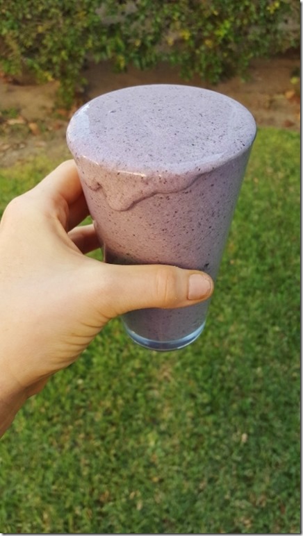 thick smoothie blog (450x800)