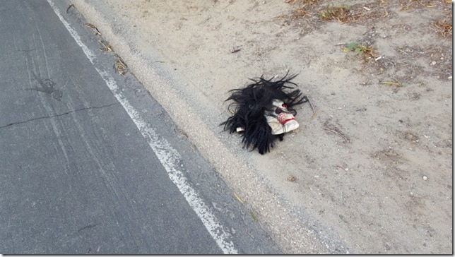 weird stuff seen on the run (800x450)