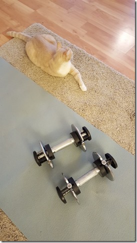 workout at home with my cat (450x800)