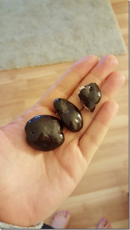 dark chocolate covered walnuts (450x800)