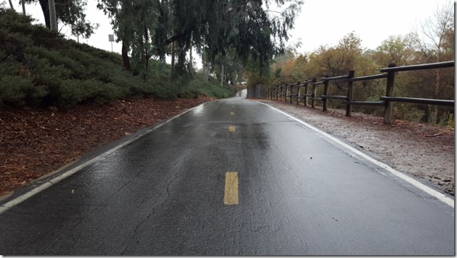 its raining in souther california what the heck (800x450)