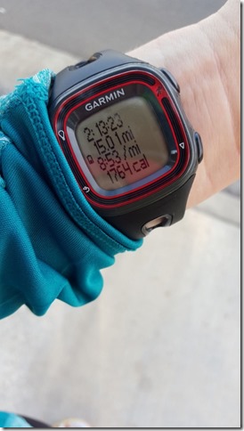 15 mile run marathon training (450x800)