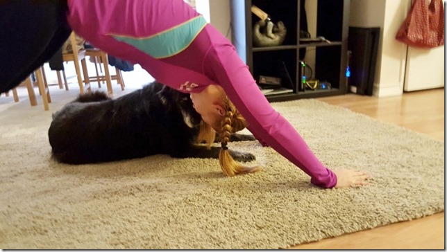 dog yoga (800x450)
