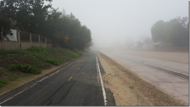 foggy morning (800x450)