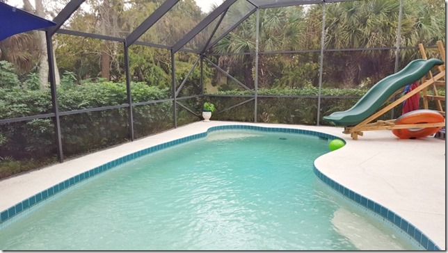 my life in florida blog 3 (800x450)