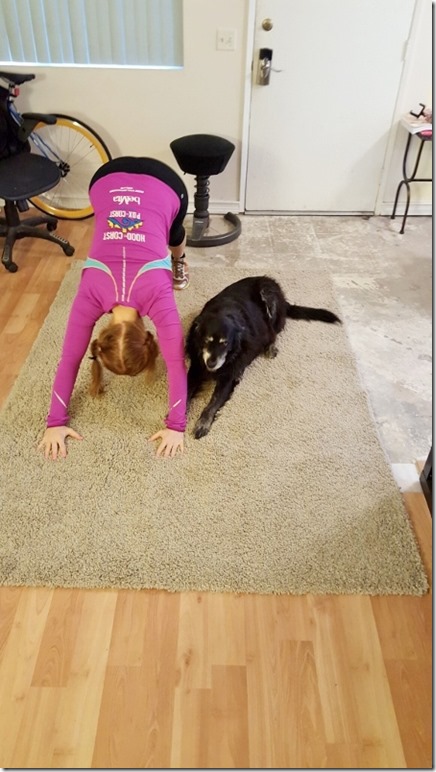 yoga with dogs (450x800)