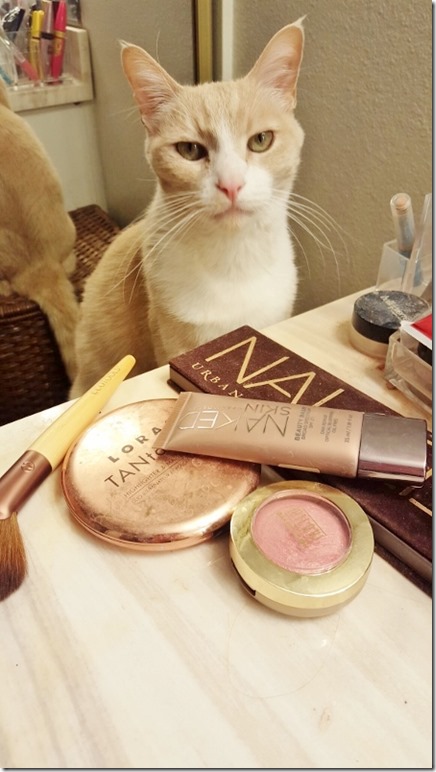 cat criticizes my makeup (450x800)