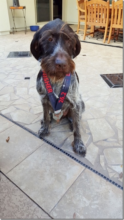 elmer with phoenix marathon medal (450x800)