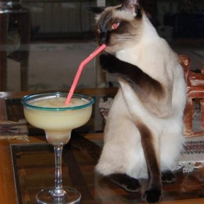5 Things You Should Do for National Margarita Day