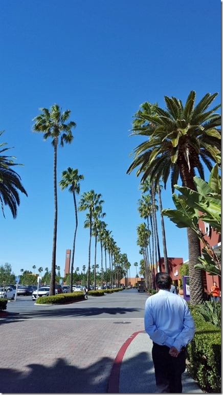 shopping in oc (450x800)