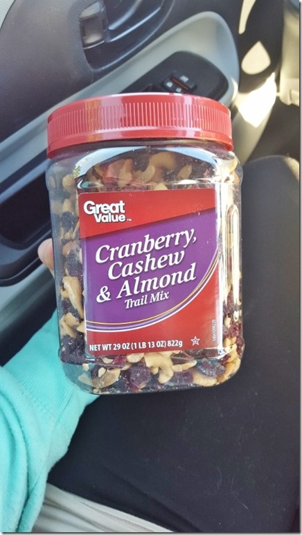 trail mix on the way home (450x800)
