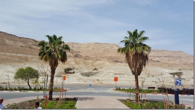 dead sea travel recap blog 6 (800x450)