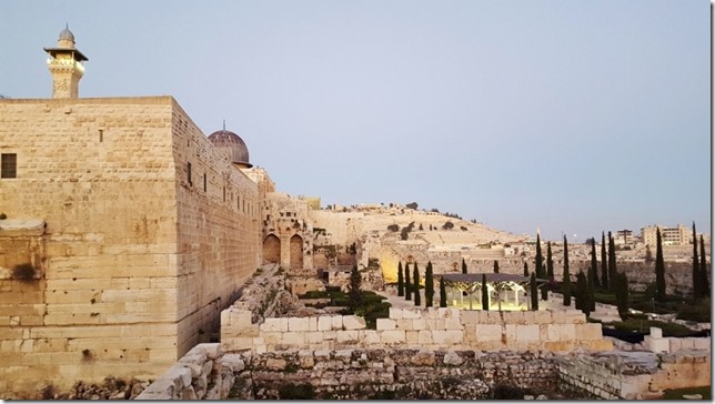 eating after the jerusalem marathon 5 (800x450)