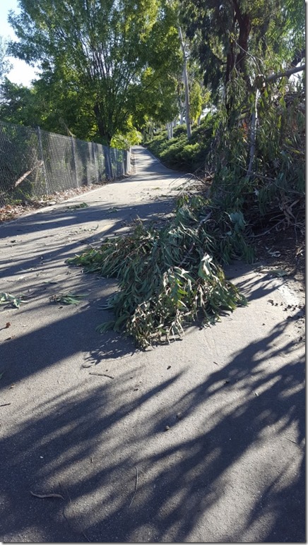 another windy run (450x800)