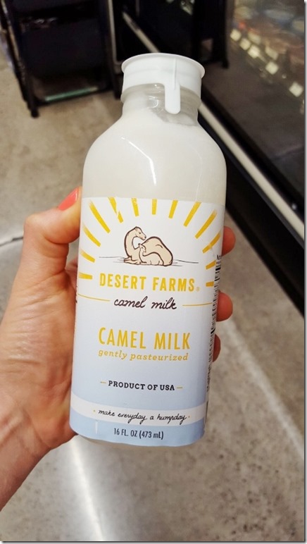 drinking camel milk to be fancy (450x800)