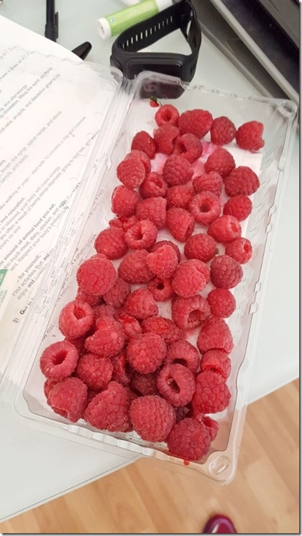 raspberries in the morning (450x800)