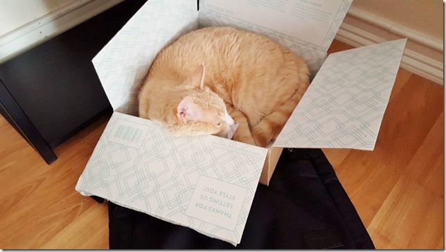 vegas in stitchfix box (800x450)