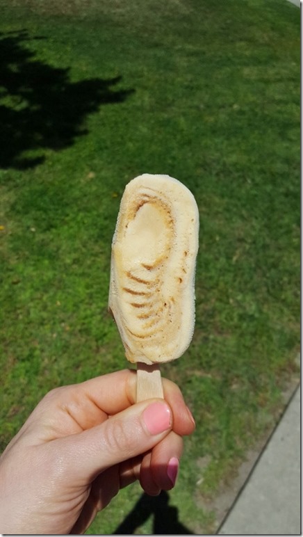 enlightened ice cream review (450x800)