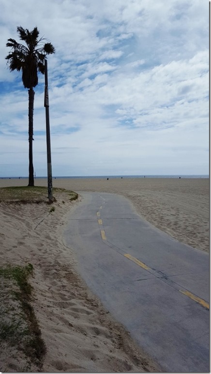 venice beach 2 (450x800)