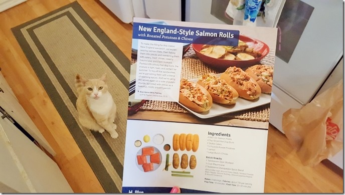 blue apron recipe delivery review 19 (800x450)
