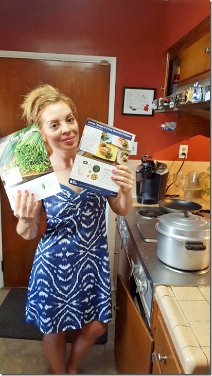 blue apron recipe delivery review 5 (450x800)