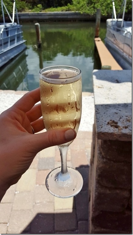 champagne in florida travels (450x800)