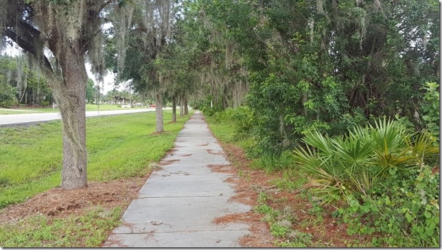 florida travel and running blog 3 (800x450)