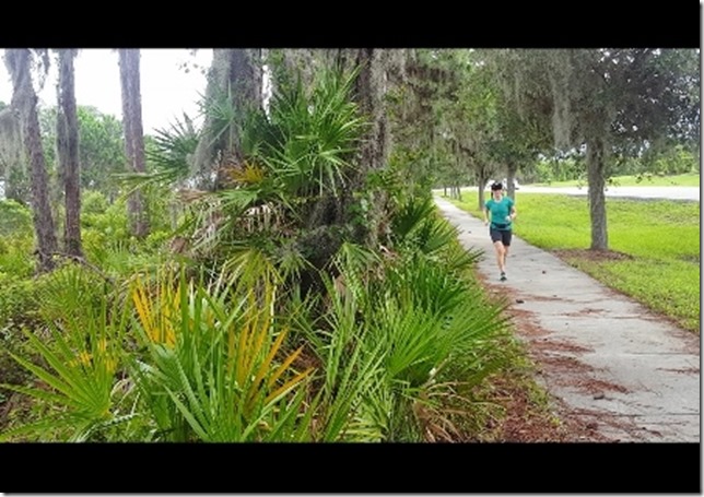 florida travel and running blog 8 (450x800)