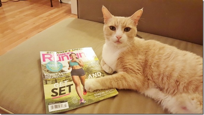 friday favorites cat magazine (800x450)