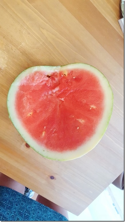 heart watermelon 1 (450x800)