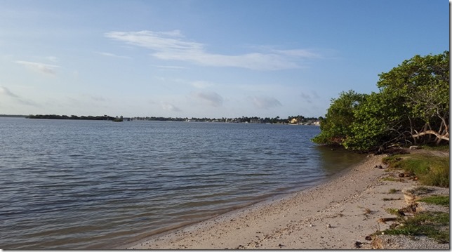 homemade brunch in florida 14 (800x450)