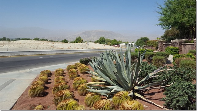 desert villas palm springs 5 (800x450)