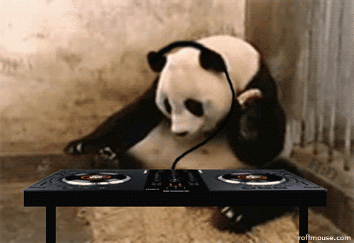 panda headphones