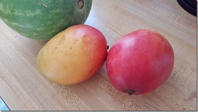 super ripe mangos (800x450)