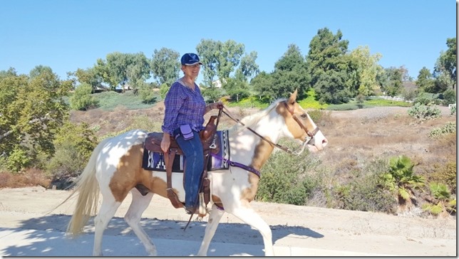 horse lady on trail (800x450)