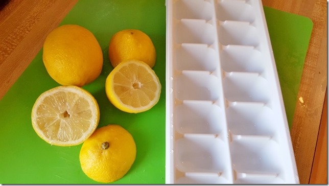 lemon ice cubes (800x450)