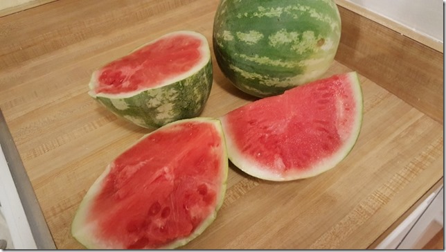 midnight watermelon (800x450)