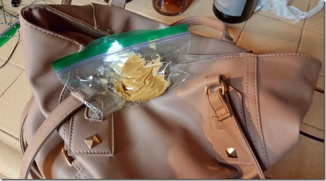 pb purse blog (800x450)