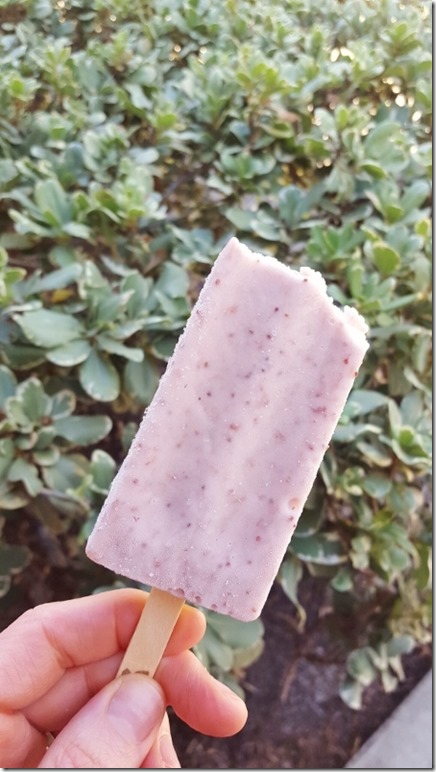 strawberry ice cream (450x800)