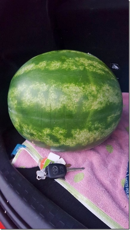 watermelon love 1 (450x800)