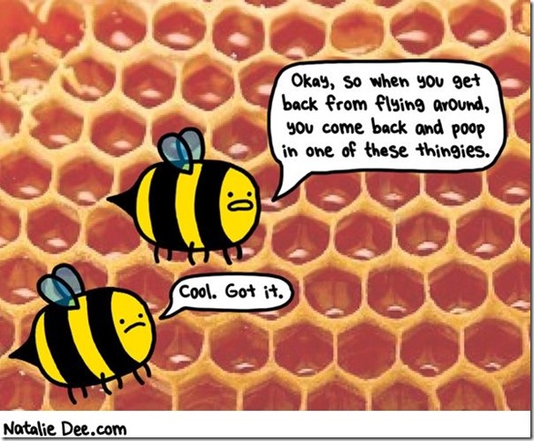 what bees do