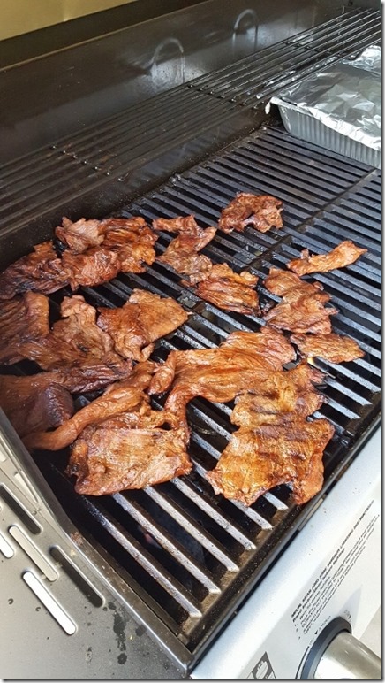 carne asada party (450x800)