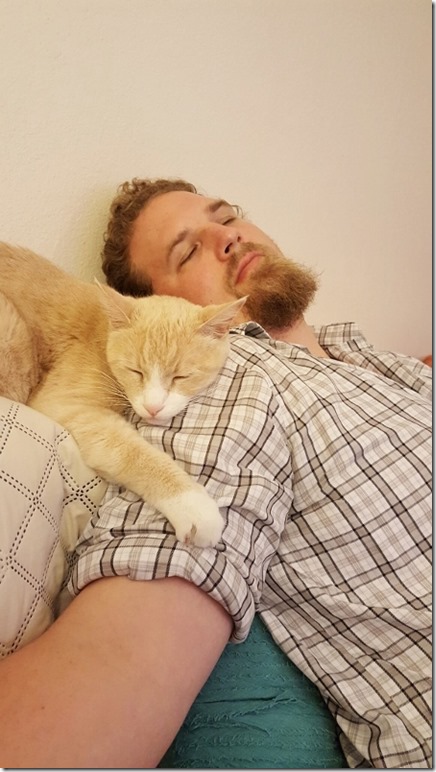 cat sleeping on shoulder (450x800)