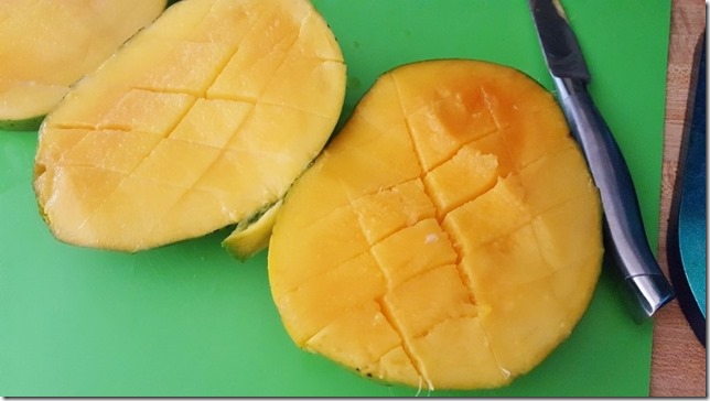 mangos are the best (450x800) (2)