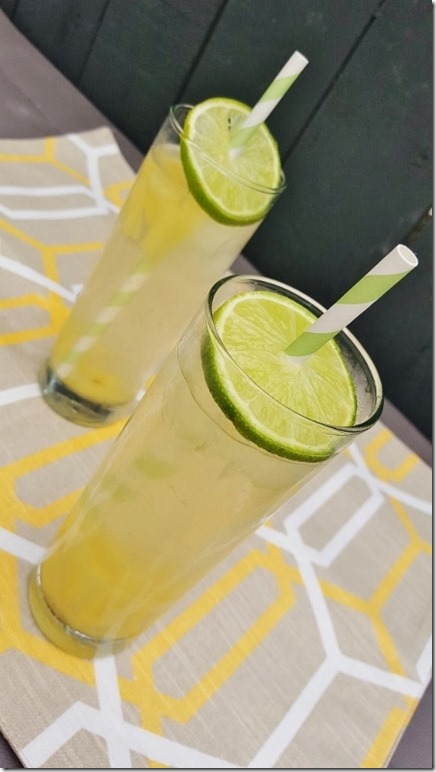 skinny rum punch recipe 2 (450x800)