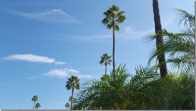 gorgeous california day (640x360)