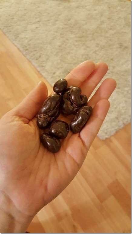 chocolate covered walnuts (450x800)
